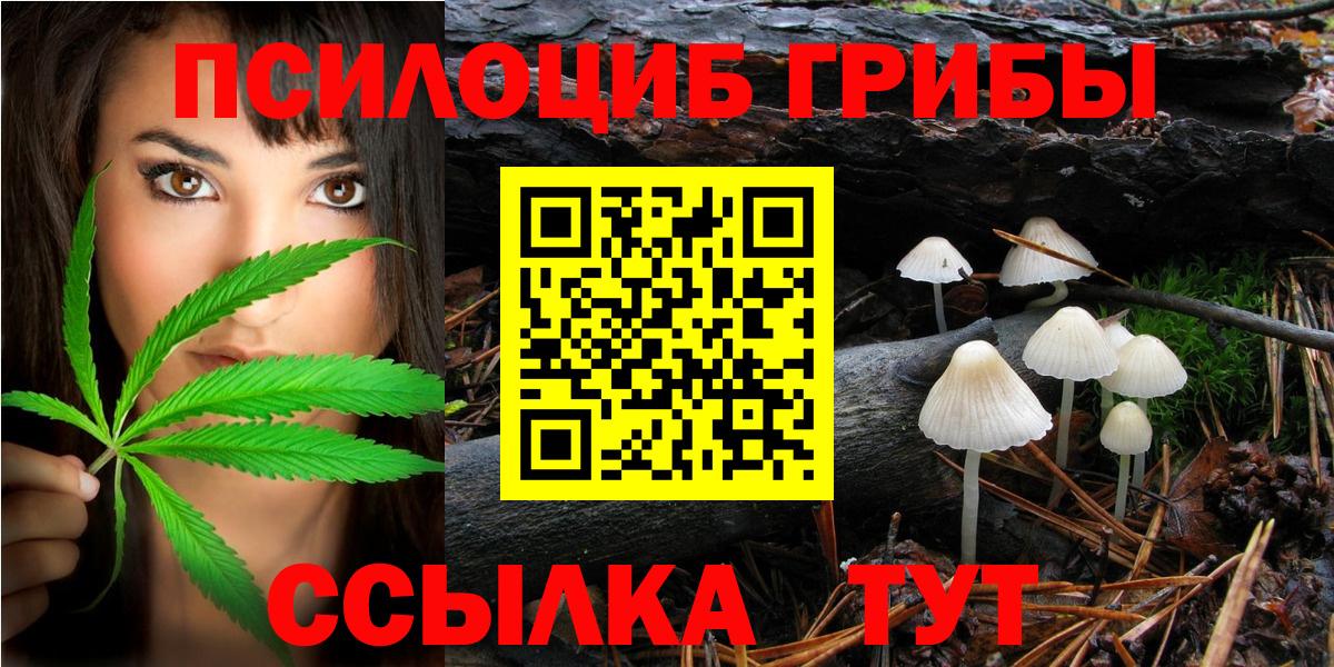 Черногорск  Галлюциногенные грибы ЛСД  Вход с VPN 