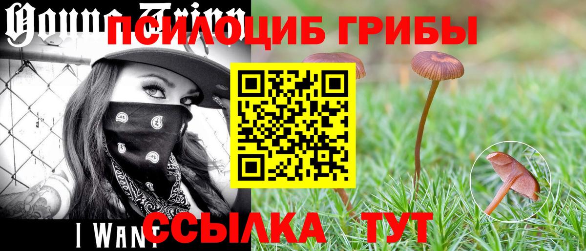 Мефедрон  Черногорск  Cocaine  МЕФ   APVP СК   ГАШ  Вход с VPN 